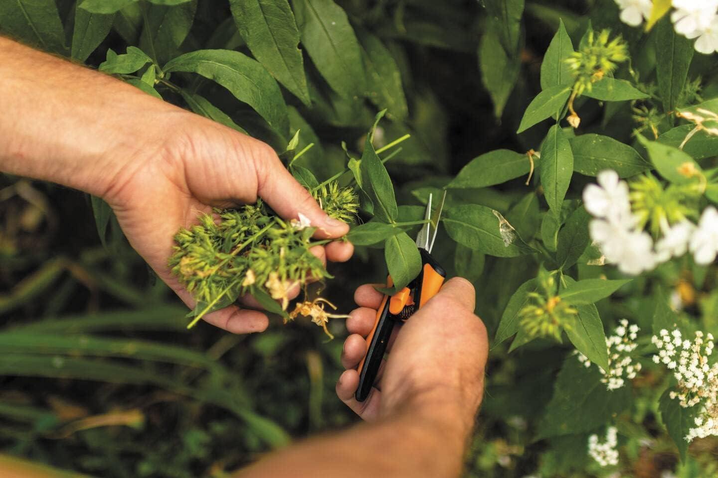 Fiskars 1051600 Solid SP13 Microtip Pruning Snips Garden Scissors
