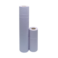 2Work 2Ply Hygne Roll Blu 10In Pk24