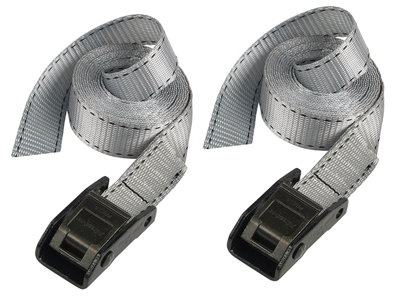 MasterLock 3110EURDAT Lashing Strap with Metal Buckle, Grey 2.5m 150kg (Pack 2)