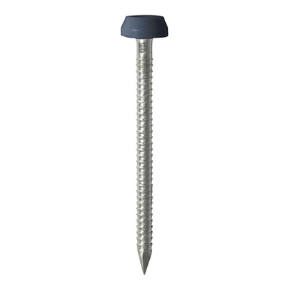 TIMCO Polymer Headed Pins A4 Stainless Steel Anthracite Grey - 40mm Box OF 250 Pieces