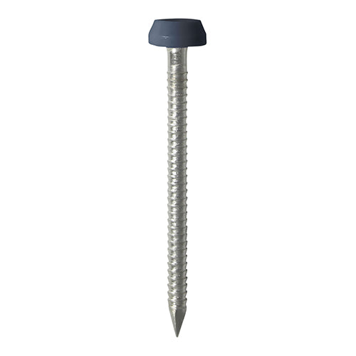 TIMCO Polymer Headed Pins A4 Stainless Steel Anthracite Grey - 30mm Box OF 250 Pieces