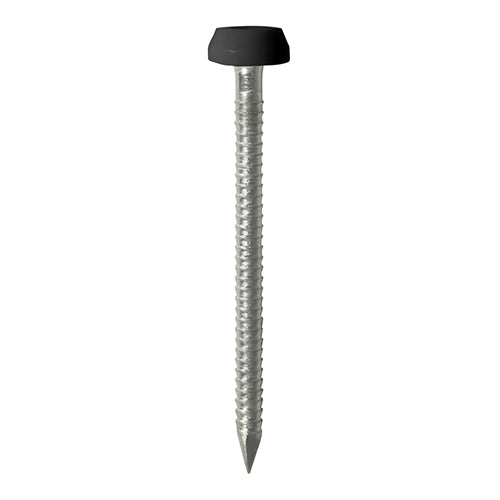 TIMCO Polymer Headed Pins A4 Stainless Steel Black - 40mm pac OF 50 Pieces