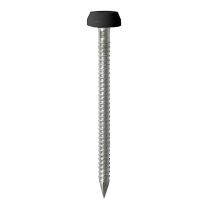 TIMCO Polymer Headed Pins A4 Stainless Steel Black - 40mm pac OF 50 Pieces