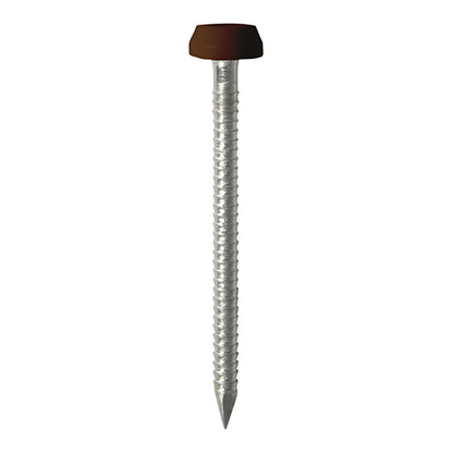 TIMCO Polymer Headed Pins A4 Stainless Steel Mahogany - 25mm Box OF 250 Pieces