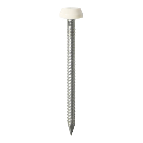 TIMCO Polymer Headed Pins A4 Stainless Steel White - 25mm Box OF 250 Pieces