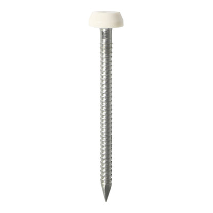 TIMCO Polymer Headed Pins A4 Stainless Steel White - 25mm Box OF 250 Pieces