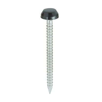 TIMCO Polymer Headed Pins A4 Stainless Steel Black - 30mm Box OF 250 Pieces