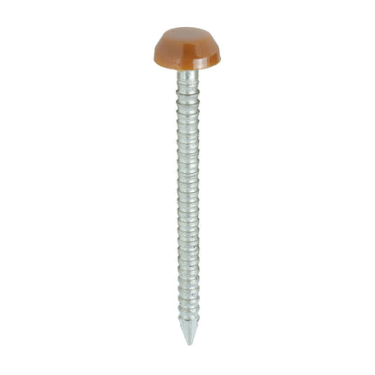 TIMCO Polymer Headed Pins A4 Stainless Steel Clay Brown -250 Pins, 30mm 40mm