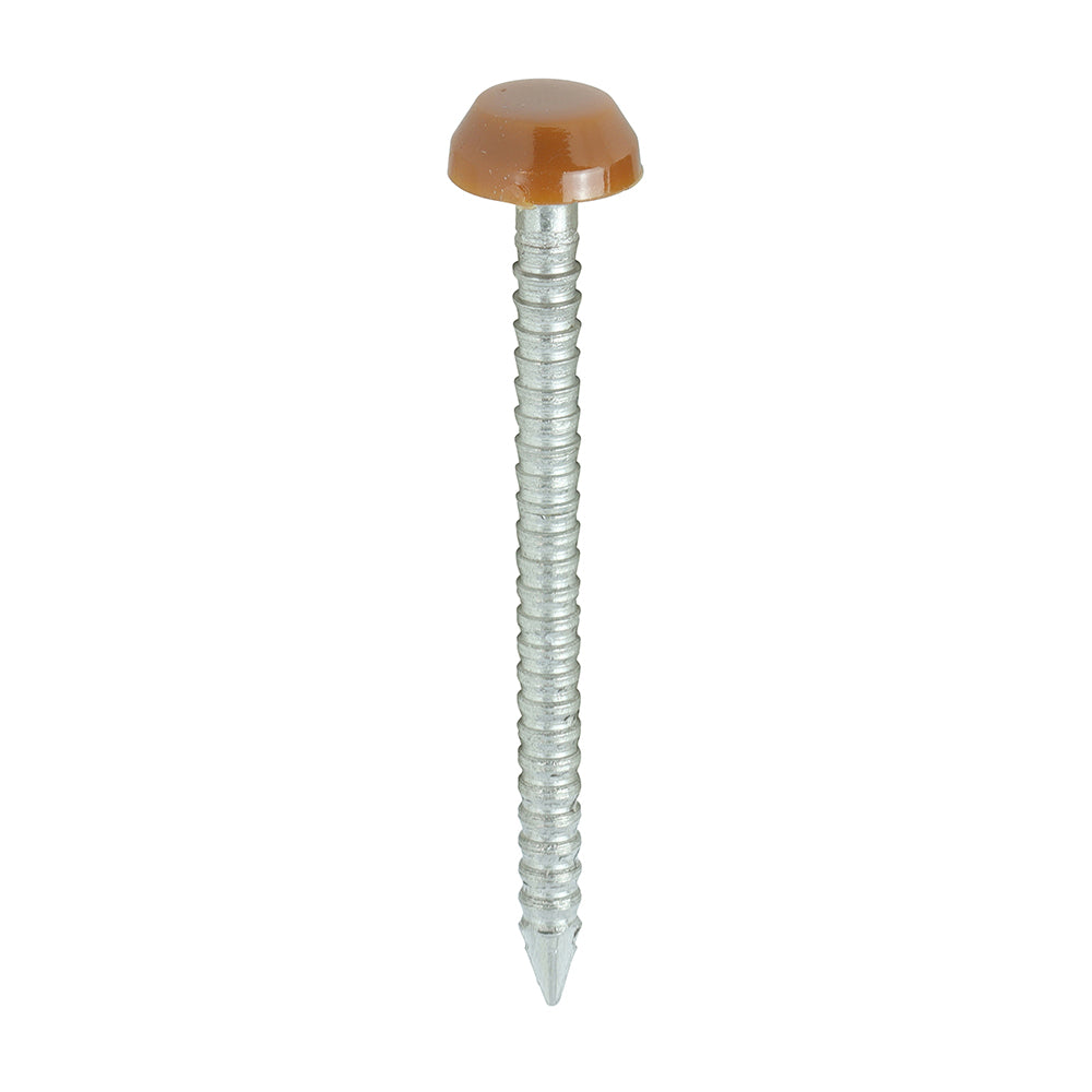 TIMCO Polymer Headed Pins A4 Stainless Steel Clay Brown - 30mm Box OF 250 Pieces