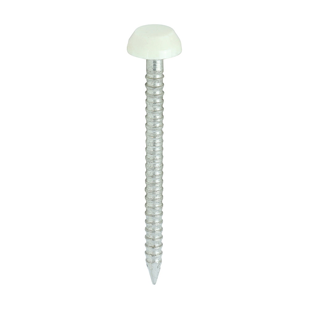 TIMCO Polymer Headed Pins A4 Stainless Steel Cream - 30mm Box OF 250 Pieces