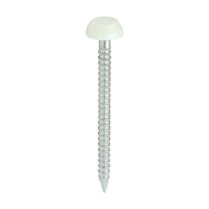 TIMCO Polymer Headed Pins A4 Stainless Steel Cream -250 Pins, 30mm 40mm