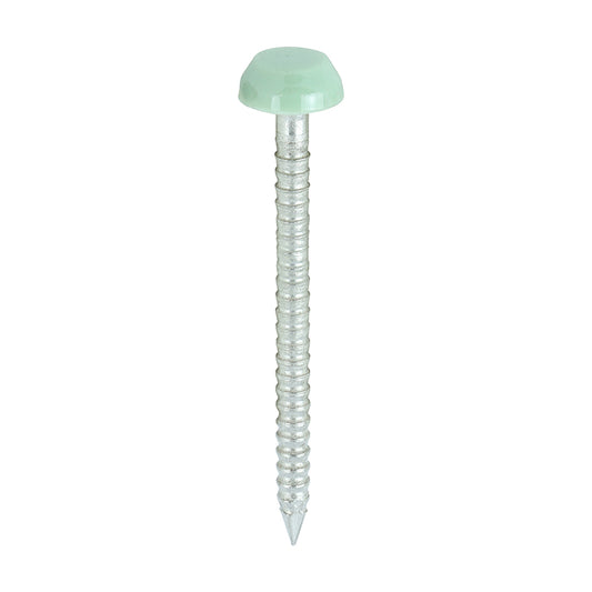TIMCO Polymer Headed Pins A4 Stainless Steel Chartwell Green -250 Pins, 30mm 40mm