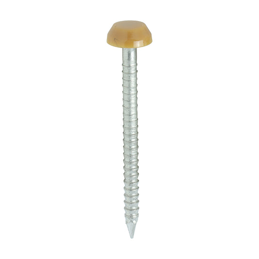 TIMCO Polymer Headed Pins A4 Stainless Steel Oak -250 Pins, 30mm 40mm