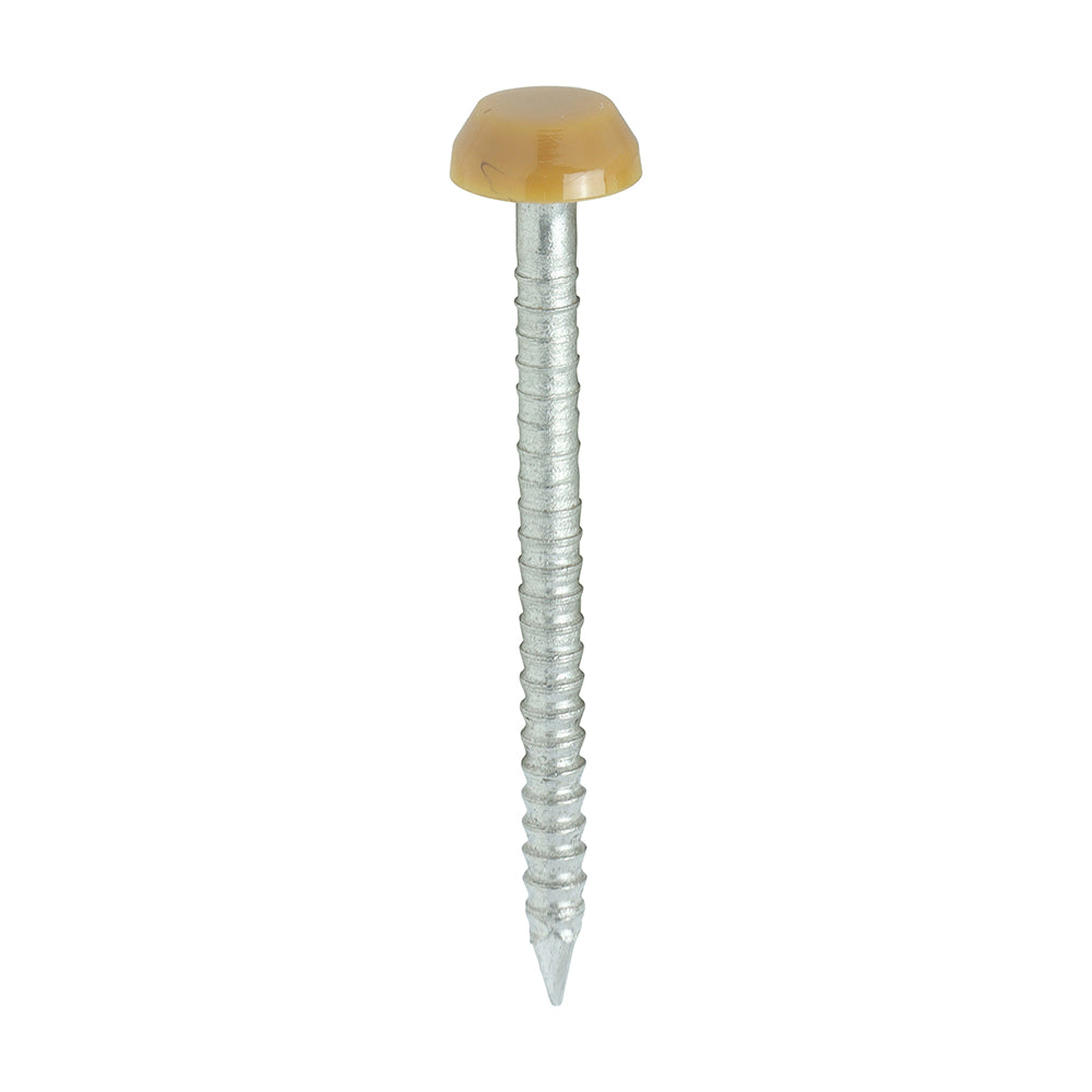 TIMCO Polymer Headed Pins A4 Stainless Steel Oak - 30mm Box OF 250 Pieces