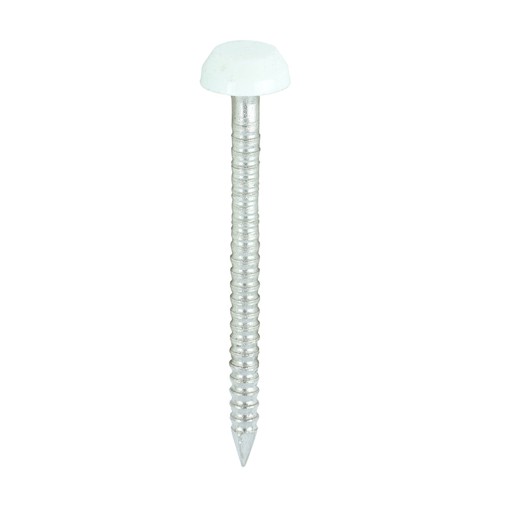 TIMCO Polymer Headed Pins A4 Stainless Steel White - 30mm Box OF 250 Pieces