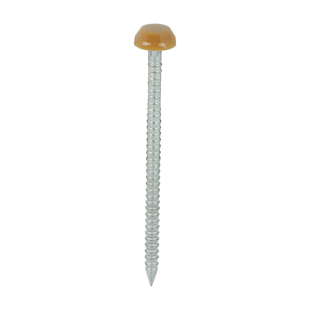 TIMCO Polymer Headed Pins A4 Stainless Steel Oak - 40mm Box OF 250 Pieces