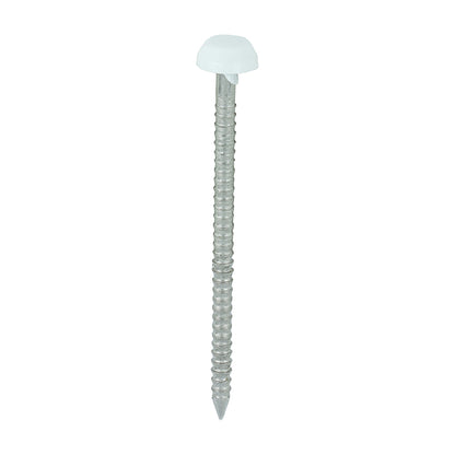 TIMCO Polymer Headed Pins A4 Stainless Steel White - 40mm Box OF 250 Pieces