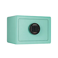 Phoenix Dream Home Safe w/Lock Mint