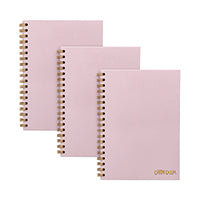 Pukka Pads Carpe Dm WB HB Ntbk Pk B5