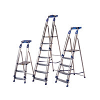 Aluminium Blue Seal 6 Tread Ladder