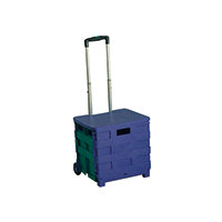 Fold Cont Troly/Lid Blu/Grn
