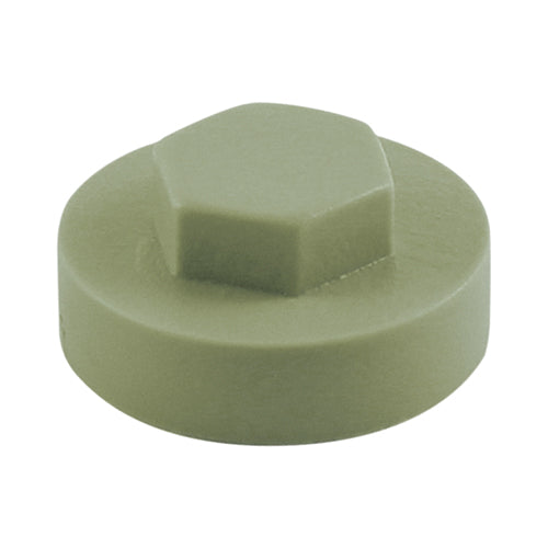 TIMCO Hex Head Cover Caps Meadowland - 16mm Bag OF 1000 - 1612B17CAP