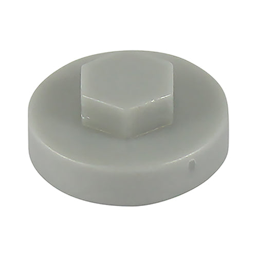 TIMCO Hex Head Cover Caps White Aluminium - 19mm Bag OF 1000 - 19RAL9006CAP