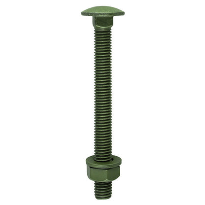 TIMCO Carriage Bolts DIN603 Hex Nuts & Form A Washers Green Exterior - M10 x 100 Bag OF 10 - 10100INCB