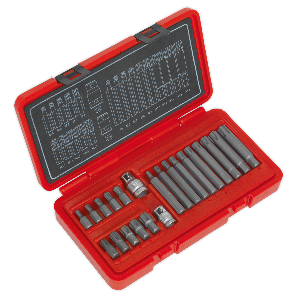 SEALEY - AK2190 Ribe Bit Set 22pc 3/8" & 1/2"Sq Drive