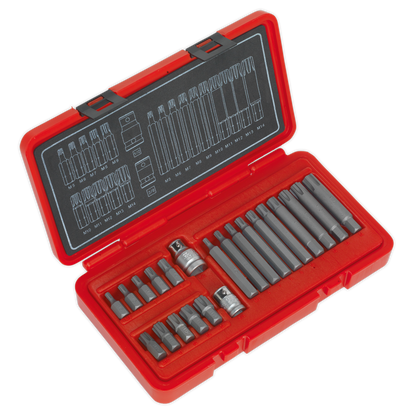 SEALEY - AK2190 Ribe Bit Set 22pc 3/8" & 1/2"Sq Drive