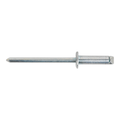 SEALEY - RS4812 Steel Rivet Standard Flange 4.8 x 12mm Pack of 200