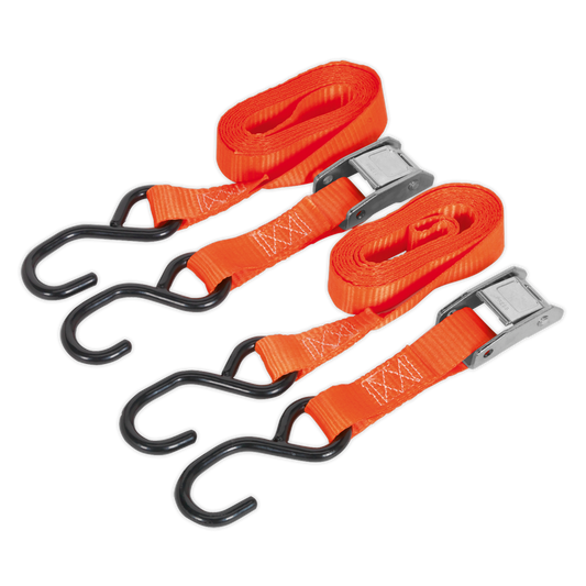 SEALEY - TD05025CS Cam Buckle Tie Down 25mm x 2.5m Polyester Webbing with S-Hooks 500kg Breaking Strength