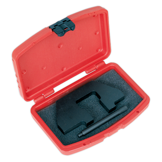 SEALEY - VSE118 Petrol Engine Timing Tool Kit - for BMW 1.6, 1.8, 1.9 SOHC M43 - Chain Drive
