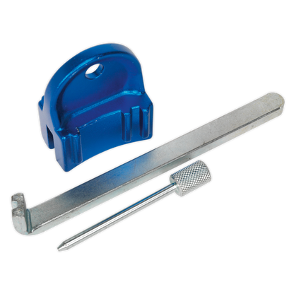 SEALEY - VSE5005 Petrol Engine Timing Tool Kit - for GM, Saab, Chevrolet  - EcoTec 1.4, 1.6, 1.8 16v - Belt Drive