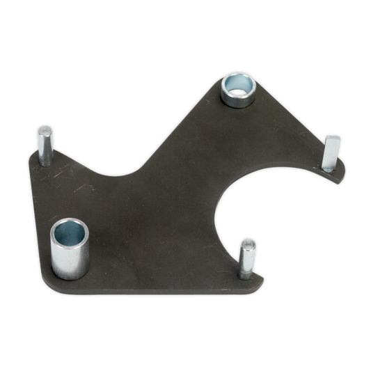 SEALEY - VSE5734 Petrol Engine Camshaft Sprocket Holding Tool - for Renault 1.4, 1.6 - Belt Drive